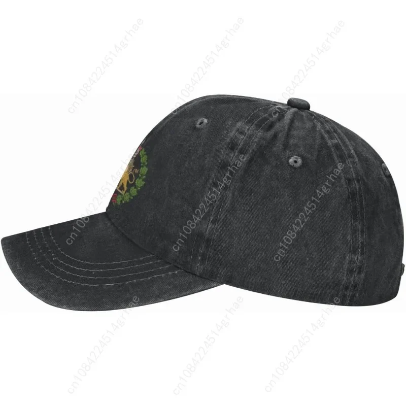 Persian Flag Iranian Lion Sun  - Golf Cap Dad review and price
